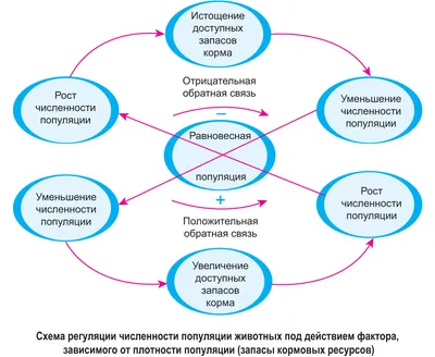 Растения. Дополнение к игре "Эволюция" | Правильные игры