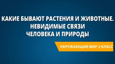 Окружающий мир 2 класс (Урок№8 - Какие бывают растения и животные. Связи  человека и природы.) - YouTube