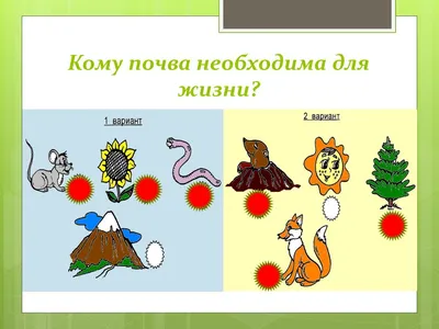 На примере полезных ископаемых докажите связь живой и неживой природы?» —  Яндекс Кью