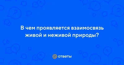 Ответы : В чем проявляется взаимосвязь живой и неживой природы?