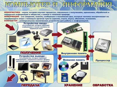 10 перспективных профессий, связанных с биологией | Завуч Полина |  Поступление в вуз | Дзен