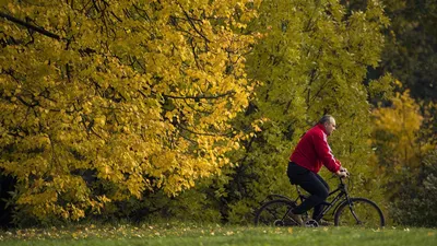 HELLO, AUTUMN! 7 английских идиом, которые имеют отношение к осени