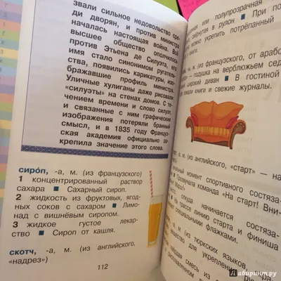 Иллюстрация 2 из 19 для Русский язык. 1-4 классы. Современный словарь  первых иностранных слов русского языка - Нина Анашина | Лабиринт - книги.  Источник: __ Екатерина