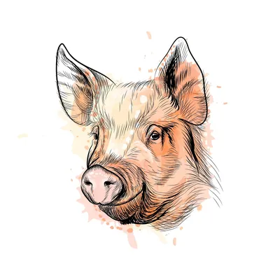 Открытки к году Свиньи | Пикабу