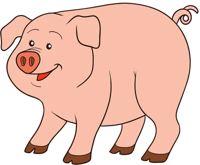 Все про свиней для детей - мультфильм про домашних животных для малышей -  Amaze Kids
