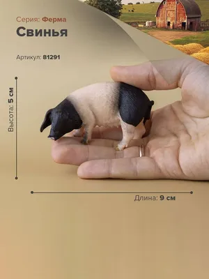Фигурка животного Derri Animals Свинья для детей игрушка коллекционная  декоративная, 81291, 8,8х4,8х3,5 см - купить с доставкой по выгодным ценам  в интернет-магазине OZON (676052074)