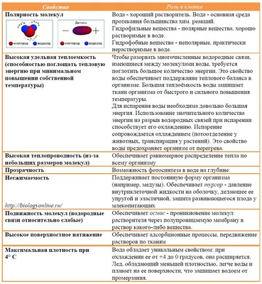 ВЫЯВЛЕНИЕ СВОЙСТВ ВОДЫ | Мир дошколят