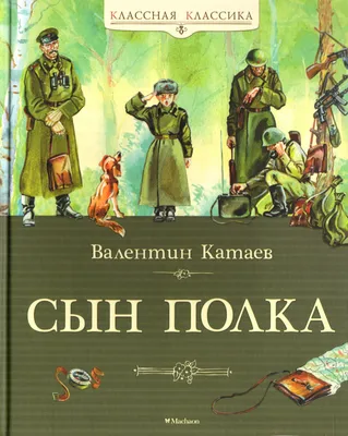 Сын полка. Библиотека школьника | Катаев Валентин Петрович - купить с  доставкой по выгодным ценам в интернет-магазине OZON (264789684)