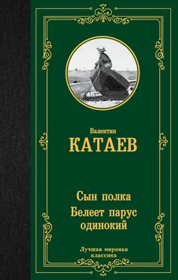 Сын полка Катаев В.П. - купить книгу с доставкой по низким ценам, читать  отзывы | ISBN 978-5-465-04242-0 | Интернет-магазин 