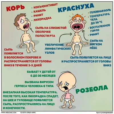 Детские инфекции: краснуха – в чем ее причины, как проявляется и как ее  нужно лечить | О детском здоровье: с врачебного на родительский | Дзен