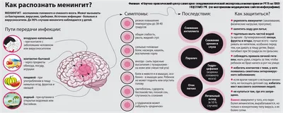 Вспышка менингококка в Ozon — что делать?😱 | Диетолог Лилия Стародубцева |  Дзен