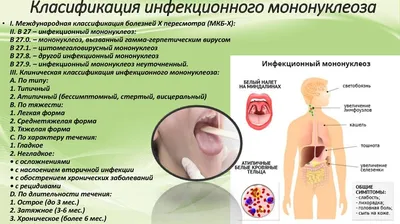 Сыпь при мононуклеозе у детей и взрослых: особенности и терапия