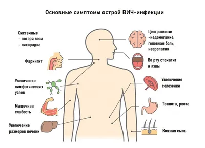 ГБУЗ Городская поликлиника № 111 для взрослых - Санкт-Петербург, ул.  Ольховая , д. 6 - 