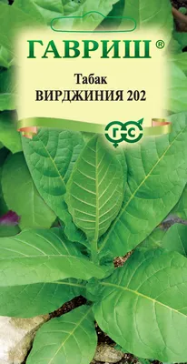 Табак Вирджиния, сладкий, ароматный, цитрусовый, мягкий семена купить  недорого