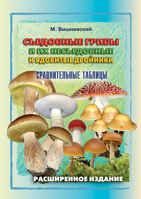 Грибы «Грибное место» купить оптом от 80 рублей со склада в Москве