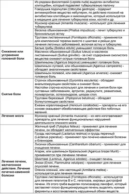 Польза и вред грибов для организма: каким отдать предпочтение - 23 августа  2023 - ЧИТА.ру