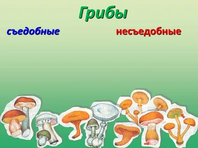 Аппликация съедобные и несъедобные грибы (49 фото) » Идеи поделок и  аппликаций своими руками - Папикпро.КОМ