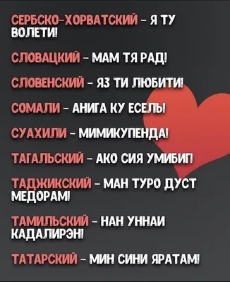 Что пишут в своих дневниках таджикские солдаты? | Новости Таджикистана  ASIA-Plus