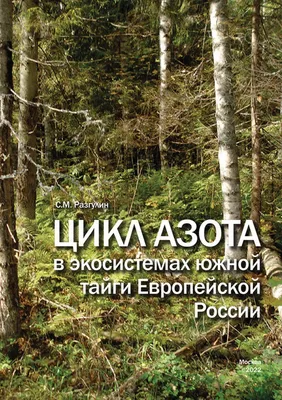 Набор игрушек ПВХ Весна Животные тайги и леса, 5 фигурок виниловых - купить  с доставкой по выгодным ценам в интернет-магазине OZON (405360007)