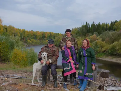 Растения тайги - список видов, описание и фото