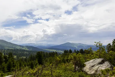 Величие сибирской тайги — Фото №124734 — Russian Traveler