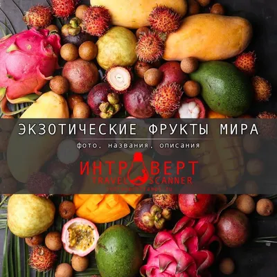 Все экзотические фрукты - фото и названия, поиск по фото