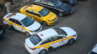 Директор Такси Максим: последние новости на сегодня, самые свежие сведения  | ЧИТА.ру - новости Читы