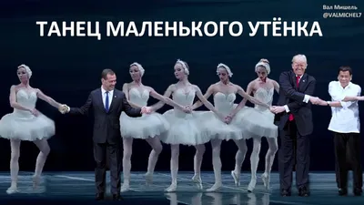 Мемы анекдоты тосты юмор: Dance... Танец карликовых уточек...