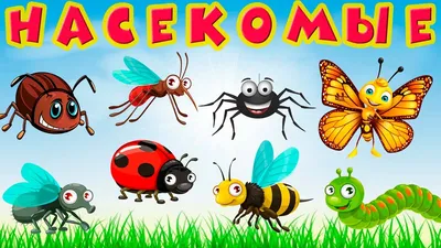 Насекомые для детей 🐝 Учим насекомых 🐞 Насекомые мультик 🐜 Насекомые  звуки 🕷 Развивающие мультики - YouTube