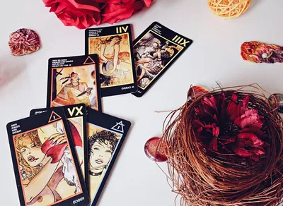 Карты Таро: "Manara Milo Erotic Tarot of Manara" — купить в  интернет-магазине по низкой цене на Яндекс Маркете