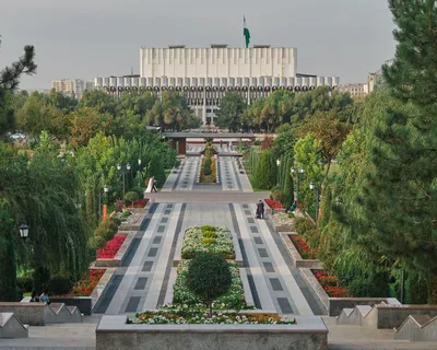 У Ташкента появится новый район – Новости Узбекистана – 