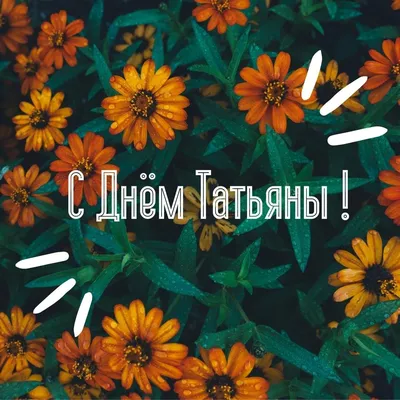 Картинки на Татьянин День (390 шт.)