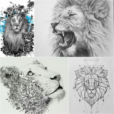 Тату лев - Тату Льва Эскизы - Примеры Эскизов для Татуировки Лев | Lion  tattoo meaning, Lion sketch, Female lion tattoo