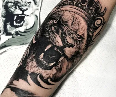 Тату лев, lion tattoo