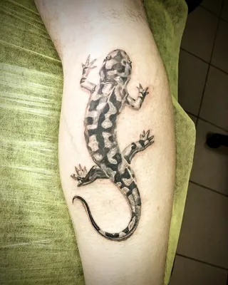 Необычное значение татуировки саламандра |  | Дзен