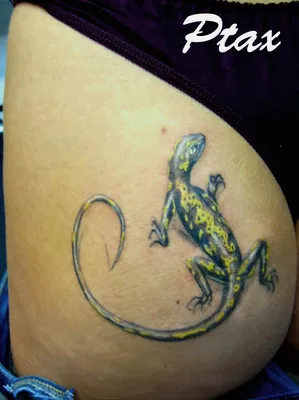 Тату саламандра (8 фото) - значение татуировки, эскизы 2023