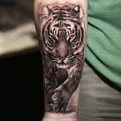 80+ ФОТО] Красивые Тату Тигр для Мужчин и Девушек | Cool arm tattoos, Best  sleeve tattoos, Lion tattoo sleeves