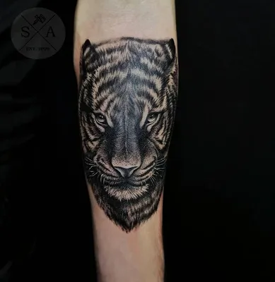 Тату тигр Тату на руке Тигр на руке Тату тигра Татуировка тигра | Tattoos,  Animal tattoo