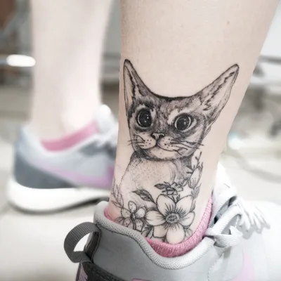 кот #котята #кошечки #cat #сфинкс #кошкисфинксы #tattoomoscow #tattoo:  tattooshka54 — LiveJournal