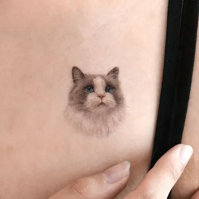 Татуировки с изображением своих кошек - Кот, пёс и я