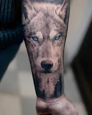 Тату волк, wolf tattoo