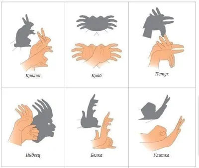Театр теней: как показывать фигуры животных руками - Занятия и игры для  детей