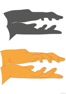 Театр теней. | Hand shadows, Shadow puppets, Shadow art