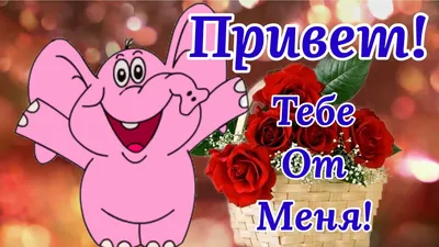 Красивые открытки "Привет!" (265 шт.)