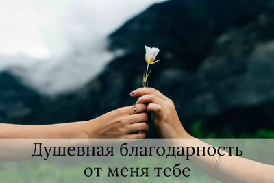 Открытки прости прости меня мне так грустно без тебя...