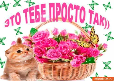 Это для тебя! Просто так! Без повода! | Bunny images, Cartoon bunny, Anime