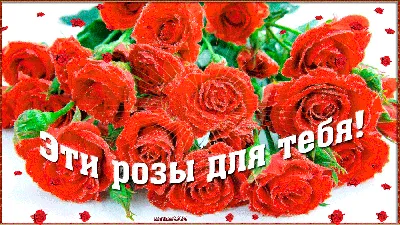 Магазин Цветы - ⚠5 причин дарить цветы девушке просто так💑 1🔼 Это  напоминание о тебе💌 Цветы — это отличный способ заставить девушку думать о  тебе каждый раз, когда она смотрит на букет.