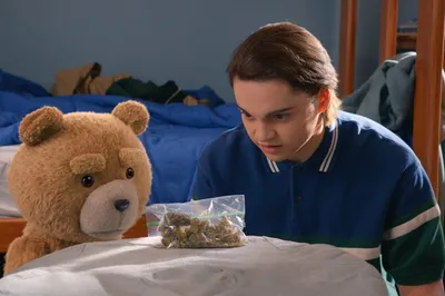 Seth MacFarlane's 'Ted' TV Series Releases Trailer, Premiere Date – The  Hollywood Reporter