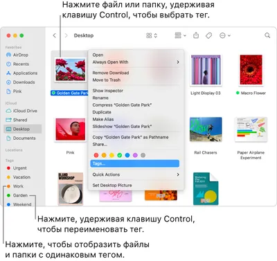 Использование тегов для упорядочивания файлов на Mac - Служба поддержки  Apple (RU)