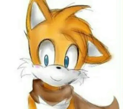 Тейлз Провер | Sonic the Hedgehog! Amino